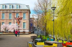 Volkenkunde Museum e alberi in fioritura a Leiden, Olanda. Per gli appassionati di archeologia è un luogo da non perdere: qui potrete infatti fare un viaggio senza tempo fra le civiltà ...