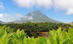 Con la sua altitudine di 2.350 metri è anche la più alta montagna del Portogallo: il Pico, questo il suo nome, culmina nel Pico Grande da dove si innalza il "Piquinho" ...