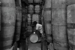 Warehouse Rum  Barbados. Una delle ricchezze dell'isola è la produzione di Rum che si ottiene dalla melassa della canna da zucchero - Fonte: Barbados Tourism Authority