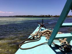 Watamu Marine National Park: il parco marino nell'area di Watamu (Kenya) fu istitituito nel 1968 per salvaguardare l'ambiente e gli habitat nei quali vivono numerose specie di pesci, ...