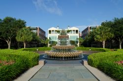 Il Waterfront Park di Charleston (South Carolina) è uno spazio verde di circa cinque ettari che sorge lungo il Cooper river - foto © Konstantin L  / Shutterstock.com