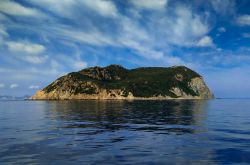Zannone fa parte delle Isole Ponziane (o Pontine) e si trova a nord-est di Ponza, nel Lazio