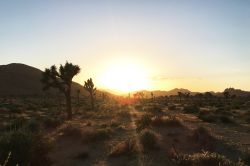 Zona desertica nei pressi di Palm Springs, California, al calar del sole.
