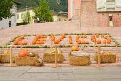 Zucche in piazza durante il Festival della Zucca a Levico Terme - © lorenza62 / Shutterstock.com