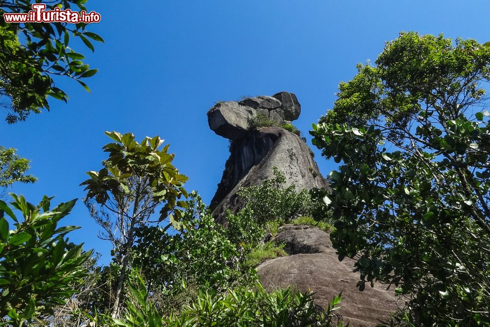 Immagine Pico do Papagaio, uno dei monti sull'Ilha Grande a Rio de Janeiro, Brasile. L'isola è prevalentemente montuosa e fra i picchi più alti vi sono il Pico da Pedra d'Agua che raggiunge i 1031 metri di altitudine e il Pico do Papagaio che tocca quota 982 metri.