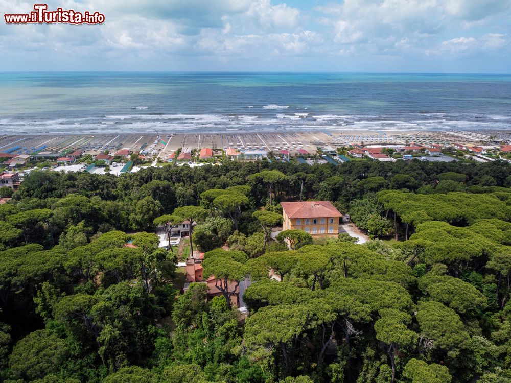 Immagine Pietrasanta, la Pineta e la spiaggia della sua Marina - © federico neri / Shutterstock