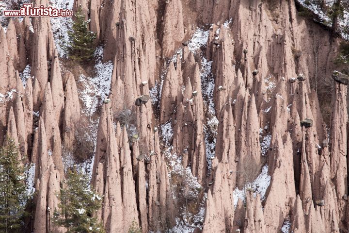 Immagine Le Piramidi di terra a Renon sopra Bolzano Alto Adige - © tgasser / Shutterstock.com