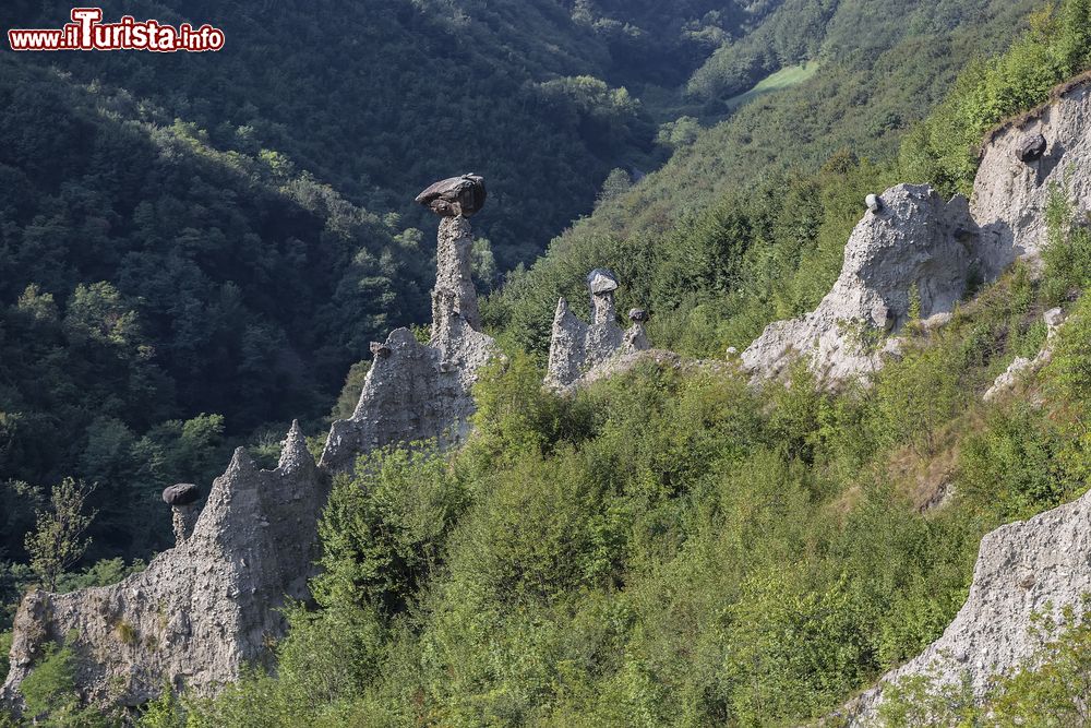 Immagine Le Piramidi di terra a Zone, Lago d'iseo (Lombardia)