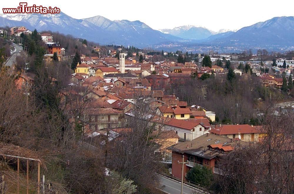 Immagine Il Comune di Pisano:  panorama della cittadina sul Lago Maggiore in Piemonte  - CC BY-SA 4.0, Wikipedia