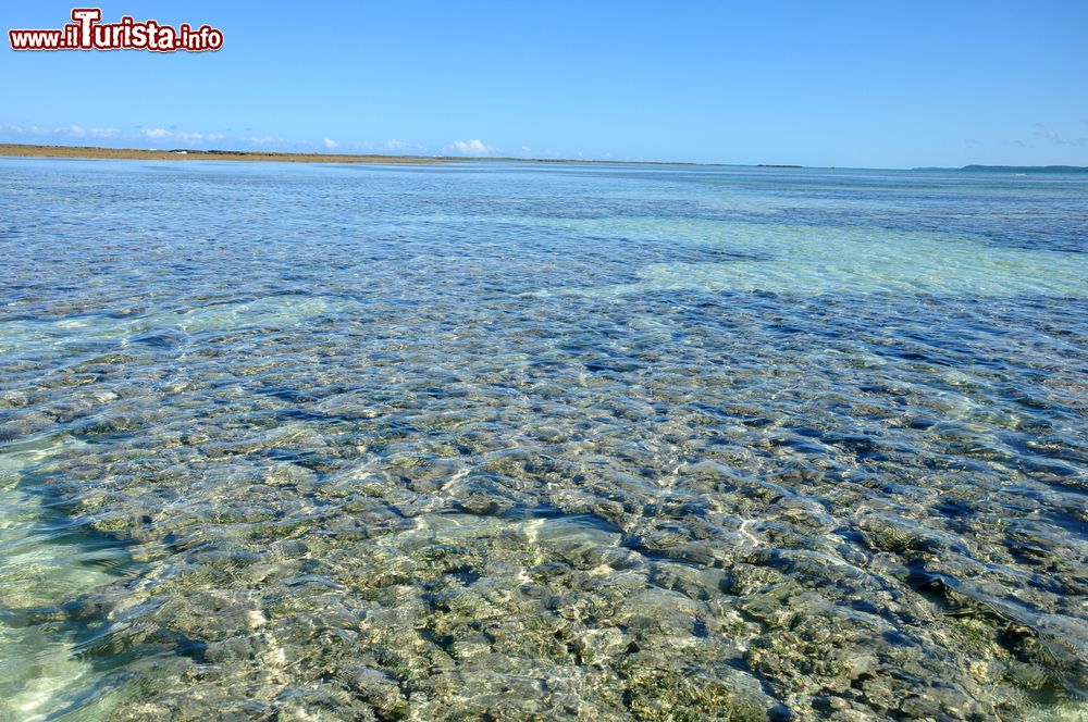 Immagine Piscina naturale a Maragogi nei pressi di Maceiò, Brasile, Sud America.