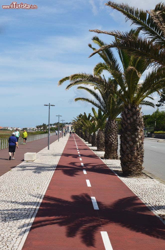 Immagine Pista ciclabile e passeggiata con palme nella cittadina di Esposende, Portogallo.