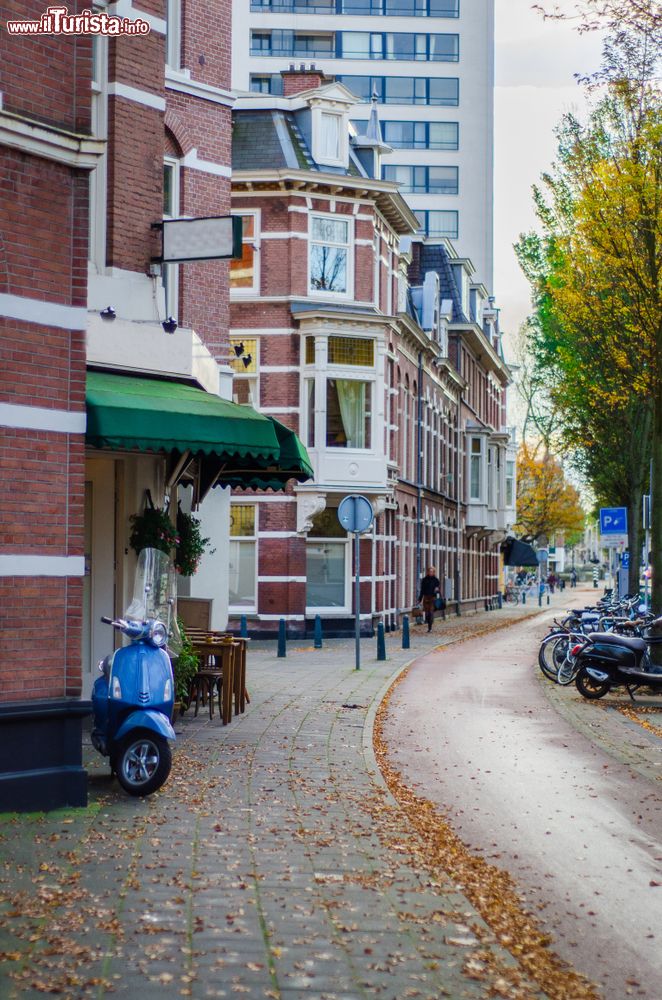 Immagine Pista ciclabile in autunno nel centro di L'Aia, Olanda.