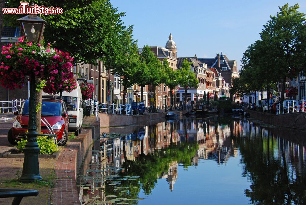 Immagine Pittoresca veduta di un canale fiorito a Leiden con le tipiche case affacciate (Olanda). Il centro storico cittadino ha più di 28 chilometri di canali e corsi d'acqua.