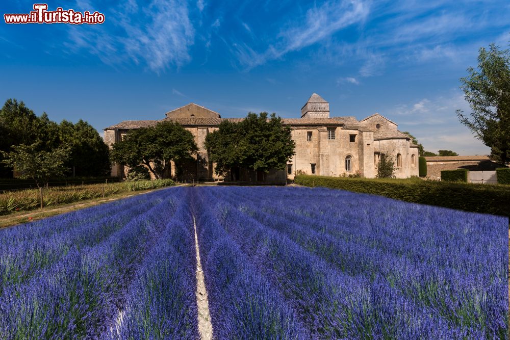 Le foto di cosa vedere e visitare a Saint-Rmy-de-Provence