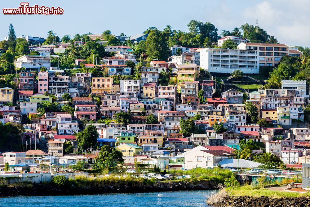 Immagine Un pittoresco scorcio della costa della Martinica, Piccole Antille, con le tipiche casette colorate.