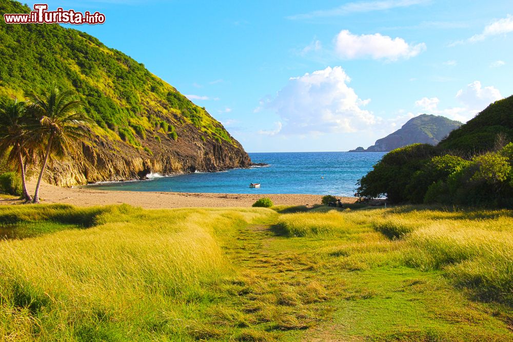 Immagine Plage Rodrigue la bella spiaggia di Terre_de_Haut a Les Sainttes, Guadalupa