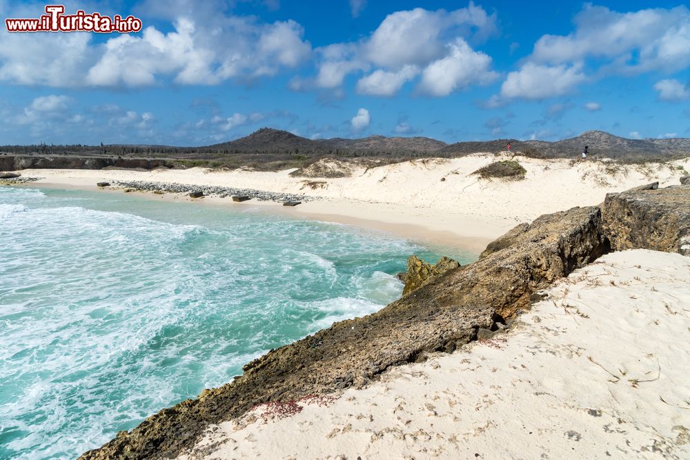 Immagine Playa Chikitu nel Washington Slagbaai National Park a Bonaire, Antille. In questa bellissima spiaggia, una sorta di insenatura idilliaca, non è purtroppo permessa la balneazione a causa di pericolose maree. E' inoltre l'unica spiaggia con vere dune dell'isola di Bonaire e le tartarughe marine nidificano qui regolarmente.