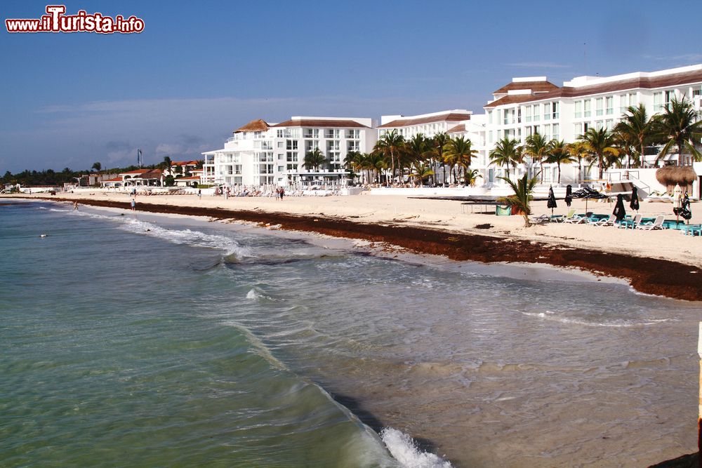 Immagine Playa del Carmen, destinazione turistica della penisola dello Yucatan, Messico. Siamo sulla Riviera Maya.