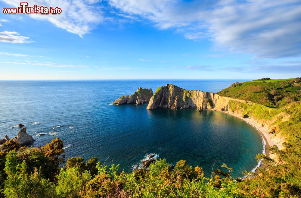 Le foto di cosa vedere e visitare a Biscaglia