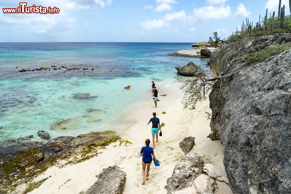 Immagine Playa Funchi, al Washington Slagbaai National Park, isola di Bonaire. E' uno dei luoghi migliori per effettuare snorkeling; da qui si possono inoltre ammirare gli ospiti della vicina salina: fenicotteri, lucertole e iguane.