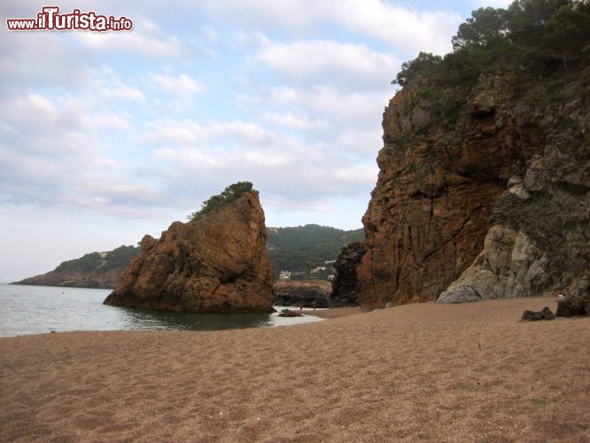 Immagine Playa Illa Roja, Costa Brava: la spiaggia nudista di Illa Roja, nei pressi di Pals, è sempre molo frequentata sia dal turismo locale che da quello internazionale. 