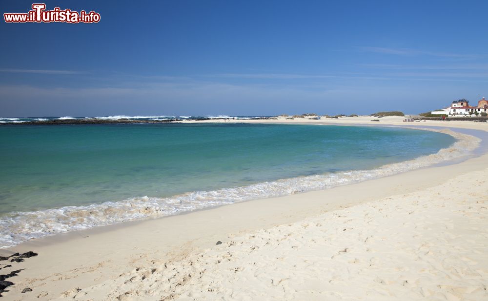 Immagine La sabbia bianca di Playa La Concha a Fuerteventura, nei pressi del villaggio di El Cotillo, Spagna. E' una delle spiagge più famose dell'isola grazie alla sua caratteristica forma a mezzaluna.