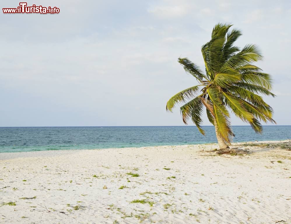 Immagine Playa Los Pinos a Cayo Sabinal, uno dei cayos che compongono l'arcipelago di Jardines del Rey. Siamo sulla costa aylantica della provincia di Camagüey, a Cuba.