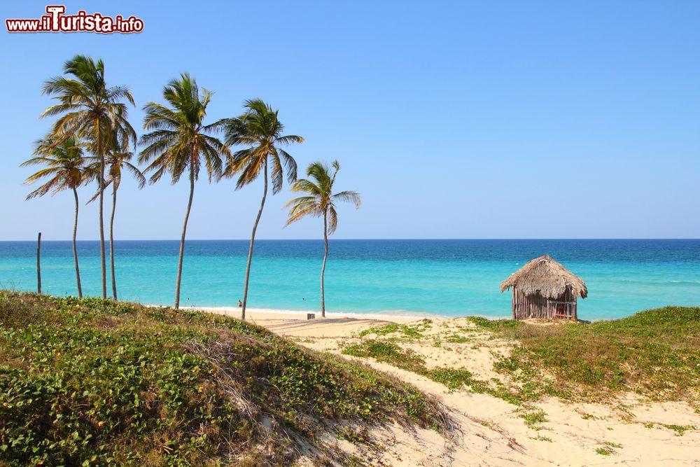 Immagine Playa Megano vicino a La Havana, Cuba. Playas del Este raggruppano diverse spiagge che seppur con nomi differenti hanno tutte un comune denominatore: acque turchesi e sabbie bianchissime.