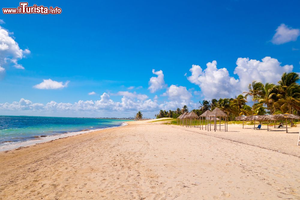 Immagine Playa Santa Lucia è un'enrome spiaggia lunga 21 km che costeggia l'Atlantico nella parte settentrionale della provincia di Camagüey, Cuba - foto © Shutterstock.com 