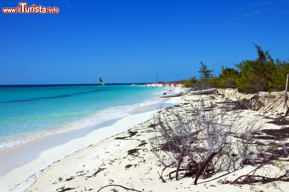 Immagine Playa Sirena, Cayo Largo del Sur. Una magnifica spiaggia tropicale