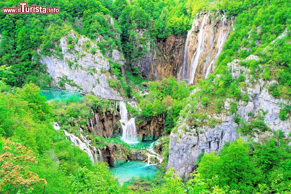 Immagine Parco Nazionale laghi di Plitvice (Plitvicka Jezera), Lika-Senj, Croazia - UNESCO World Heritage Site