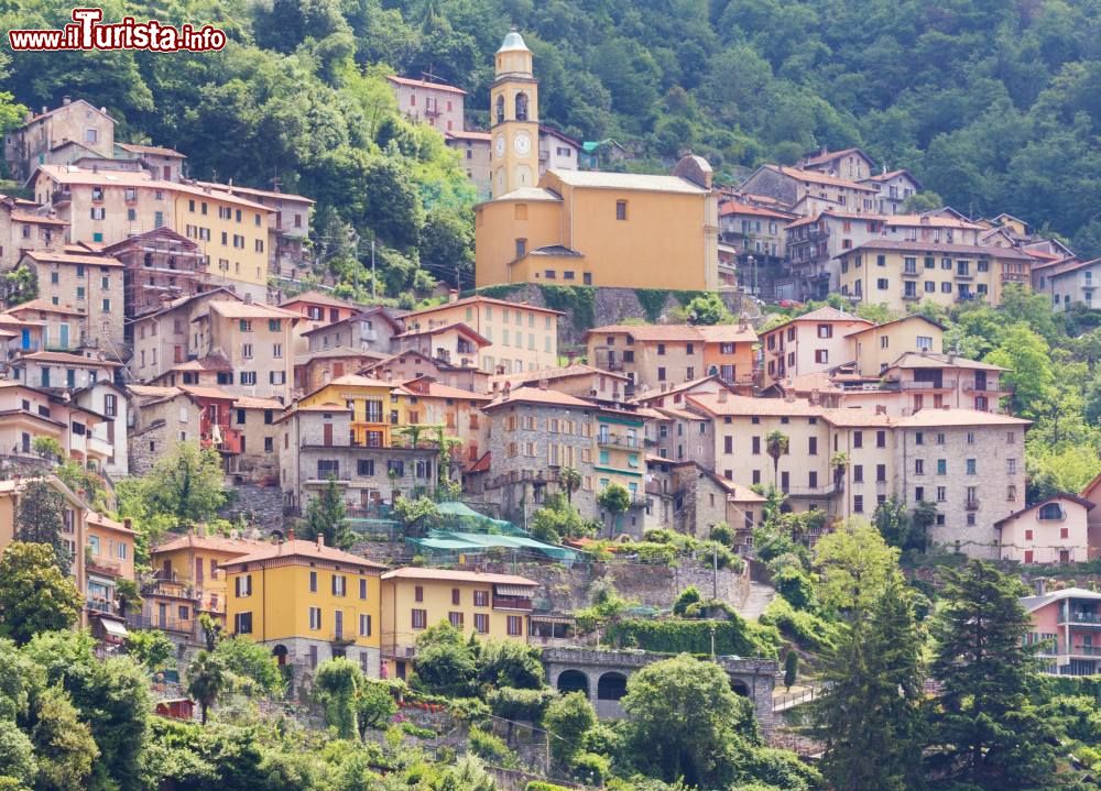 Immagine La citadina di Pognana Lario con le sue case a picco sul Lago di Como in Lombardia