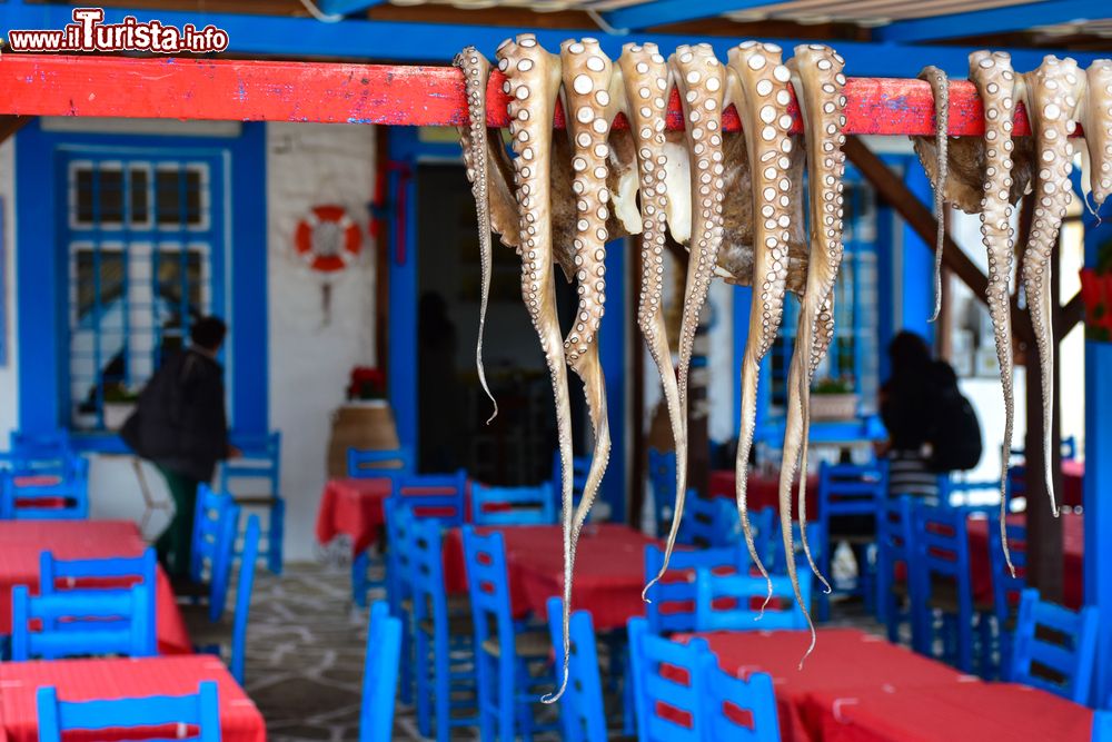 Immagine Polipo messo a seccare al sole in un villaggio dell'isola di Trikeri, Tessaglia (Grecia).