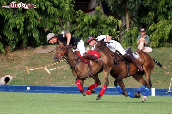Immagine Partita di Polo sull'isola di Barbados, Caraibi - Fonte: Barbados Tourism Authority