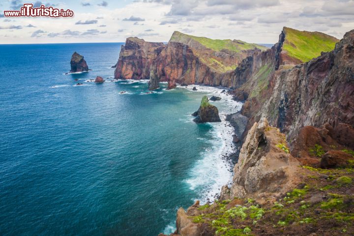 Immagine Ponta de Sao Lourenco presso la Costa Est di Madeira (Portogallo) - Ci sono diversi posti nell'isola che sono meravigliosamente naturali, anche se la parte orientale in cui vi è Sao Lourenco è probabilmente la migliore riserva. Le rocce vulcaniche che si affacciano sull'oceano atlantico nella loro maestosità, racchiudono piante insolite come per esempio quella del ghiaccio e il Cardo. Le escursioni permettono un cammino per vederle e come si vede nella fotografia, le viste che regala sono sublimi - © Anilah / Shutterstock.com