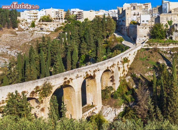 Immagine Ponte di accesso al centro del borgo di Gravina in Puglia - © leoks / Shutterstock.com