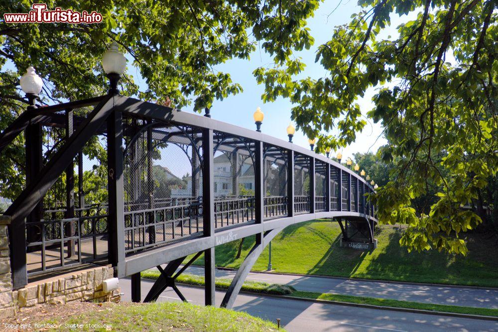 Immagine Un grazioso ponte in ferro sul fiume Mississipi nel cnetro di Memphis (Tennessee), USA - © Mont592 / Shutterstock.com