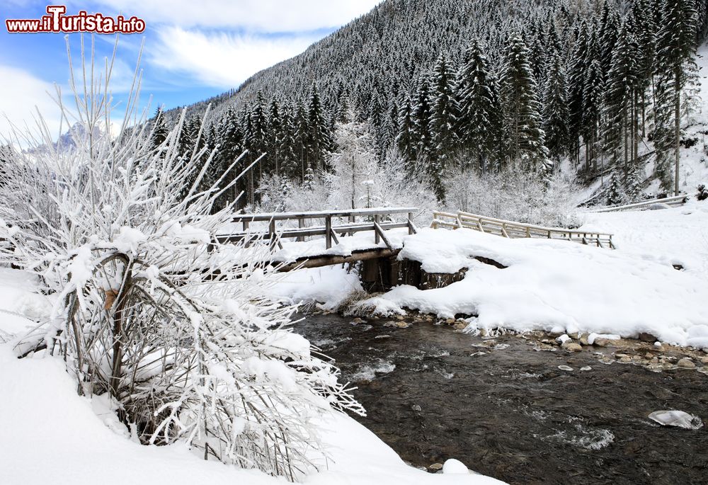 Immagine Un ponte in legno coperto di neve attraversa il torrente Biois nei pressi di Falcade, Veneto.