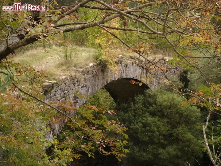 Immagine Ponte romano nei dintorni di Santo Stefano d'Aveto, Liguria - © MAXREBIN - Wikimedia Commons.