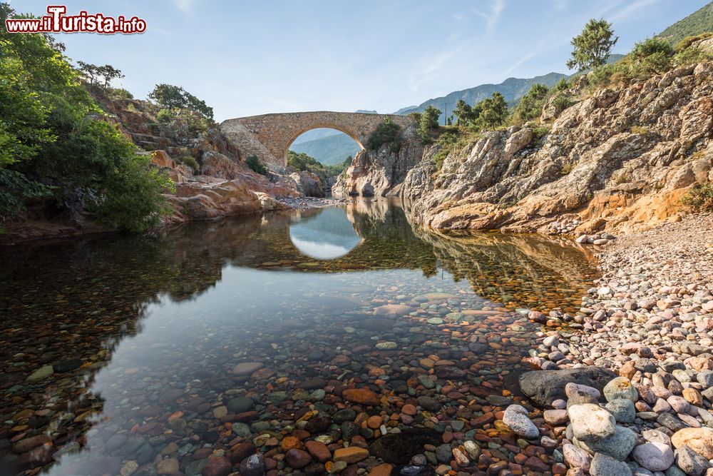 Immagine Il Ponte Vecchiu  si erge sul fiume Fango, ed è una costruzione medievale che si trova non lontano da Galeria in Corsica