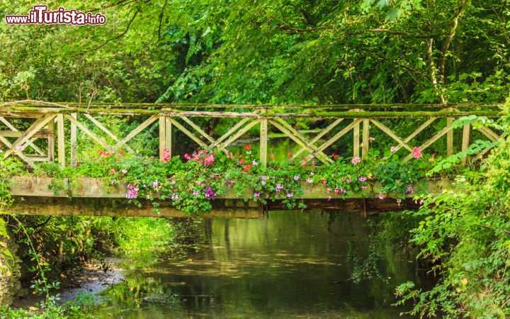 Immagine Un ponticello sul fiume Coln a Bibury, Inghilterra - Un ponte pedonale in legno impreziosito da vegetazione e fiori variopinti: gli scorci panoramici offerti dal fiume Coln sono fra i più apprezzati di questo borgo antico © Voyagerix / Shutterstock.com