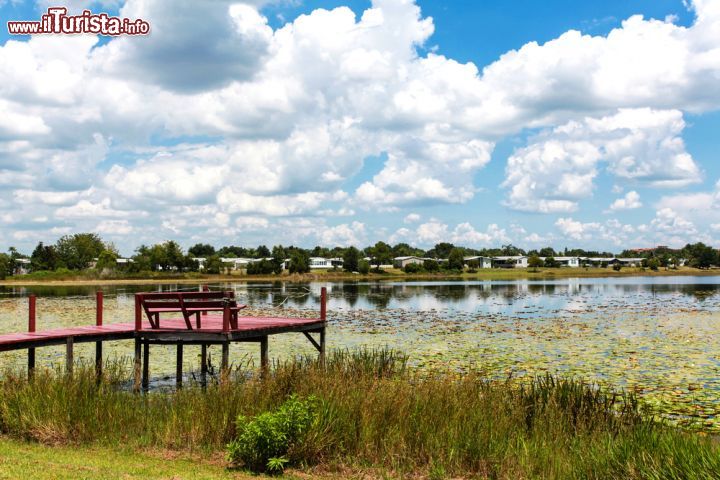 Immagine Pontile sulla palude di Orlando, Florida - L'area totale su cui si estende la città della Florida è di  circa 260 chilometri quadrati: 242 su terra ferma e 19 di specchi d'acqua. Orlando ospita più di 100 laghi naturali e paludi che si trovano nella sua area metropolitana © KarenCohen / Shutterstock.com