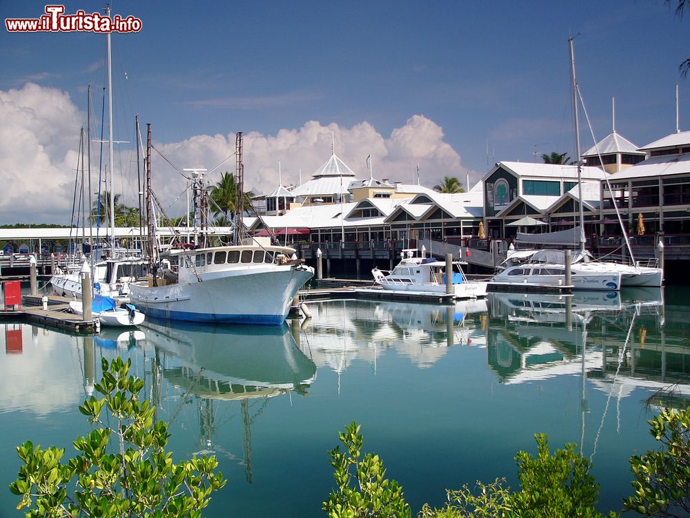 Immagine Port Douglas, la porta della Grande Barriera Corallina, Australia. Questo reef con fondali e atolli incontaminati è patrimonio mondiale.