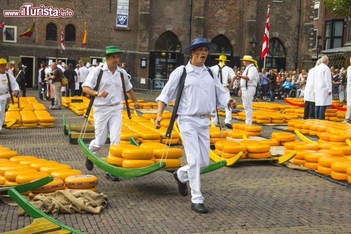 Immagine Portatori del formaggio gouda al mercato di Alkmaar nei Paesi Bassi - Questa immagine rappresenta un vero e proprio inno alla tradizionalità dell'Olanda. Il vestiario indossato dai portatori del formaggio e il tavolo mobile, tipico del rito originario che prevede lo spostamento del gouta al mercato, simboleggia infatti l'amore degli olandesi nei confronti delle loro tradizioni - © Giancarlo Liguori / Shutterstock.com