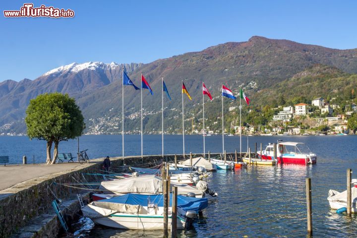 Immagine Porto di Ascona, Svizzera. Il grazioso porticciolo del Comune di Ascona nel Ticino, territorio del cantone più meridionale della Svizzera - © LaMiaFotografia / Shutterstock.com