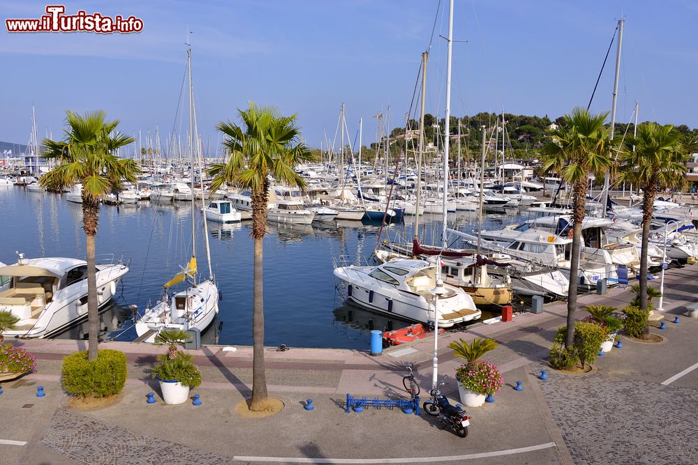 Immagine Il porto di Cavalaire-sur-Mer, dipartimento del Var, visto dalla terrazza di un edificio (Francia).