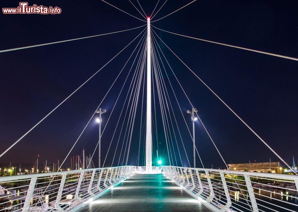 Immagine Il porto di La Spezia visto di notte e il ponte di Thaon di Revel, Liguria. Lungo 156 metri e largo 3, questo ponte è stato realizzato con 540 tonnellate di acciaio, mille metri cubi di calcestruzzo e 600 metri quadrati di legno esotico - © muratart / Shutterstock.com