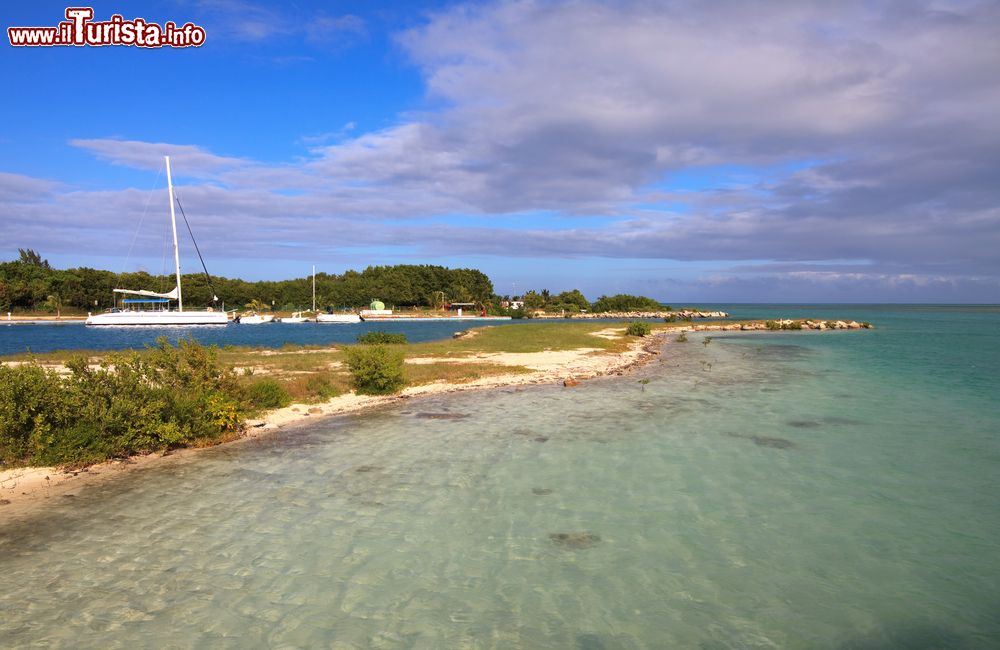 Immagine Un porto naturale sull'isola di Cayo Guillermo a Cuba.