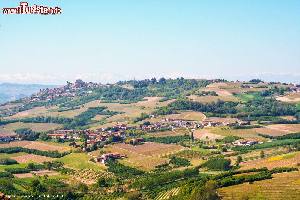 Immagine Posta al confine tra Langhe e Roero Magliano Alfieri offre un paesaggio collinare vocato alla viticoltura - © lauradibi / Shutterstock.com