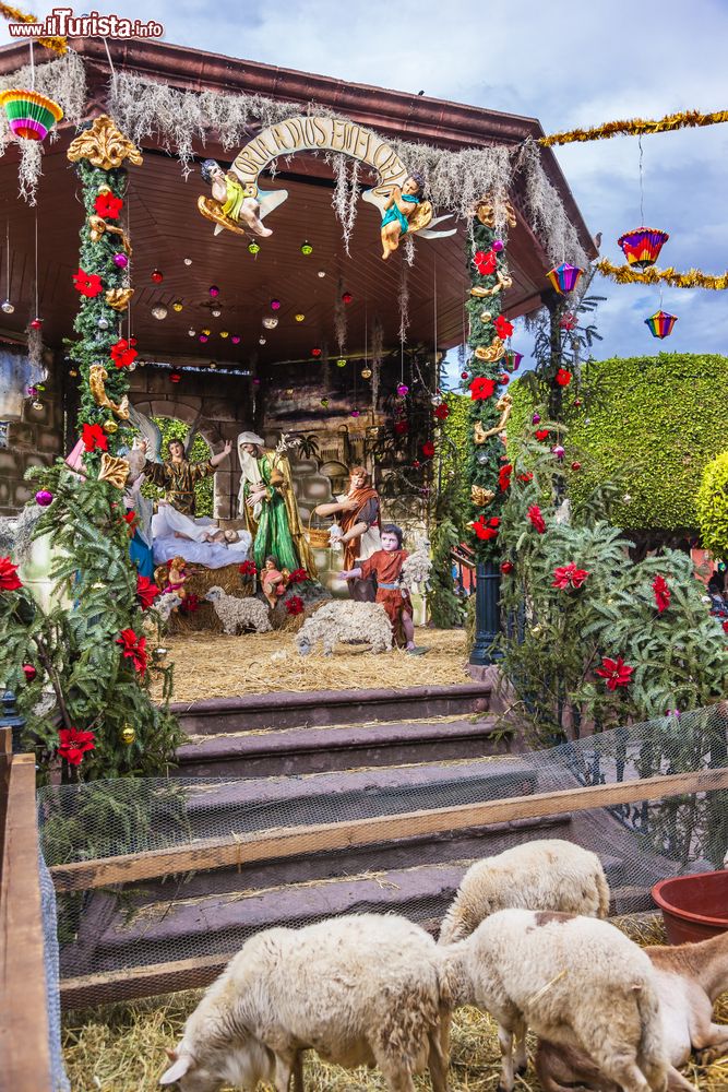 Immagine Un presepe realizzato durante le festività natalizie nella città di San Mguel de Allende (Guanajuato, Messico).